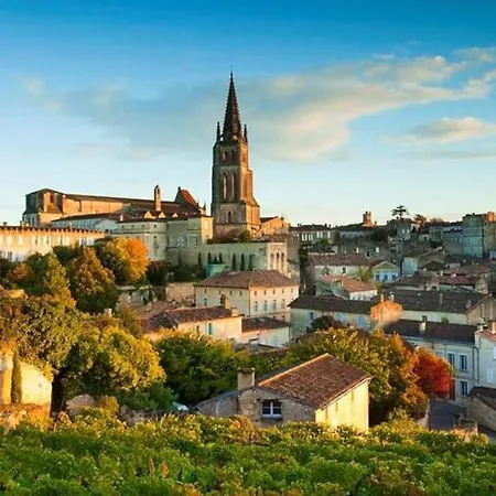 De Luxe Au Centre De Libourne